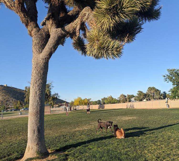 Dog Park (Yucca&nbspValley,&nbspCA)